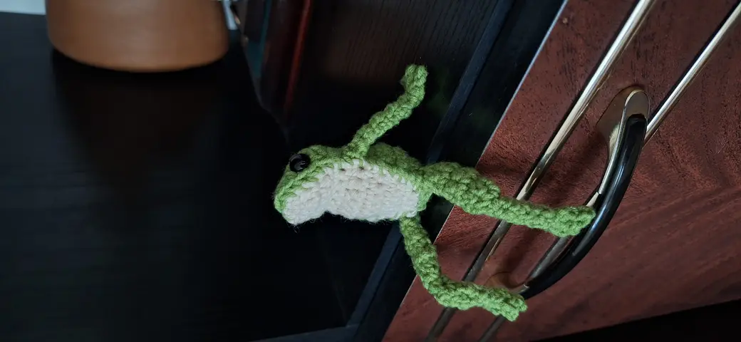 Hopscotch the frog