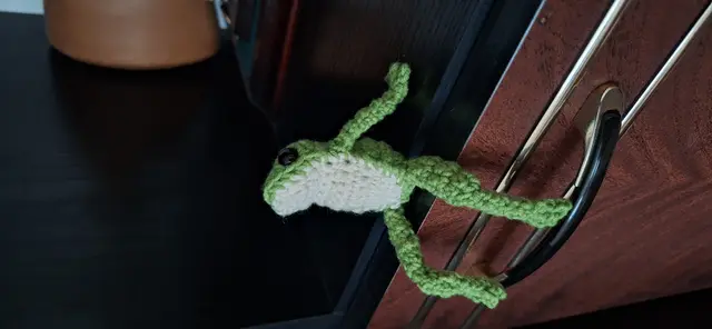 Hopscotch the frog