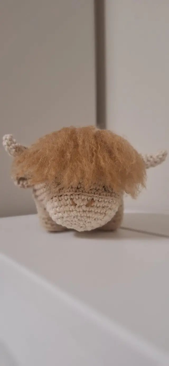 Ox