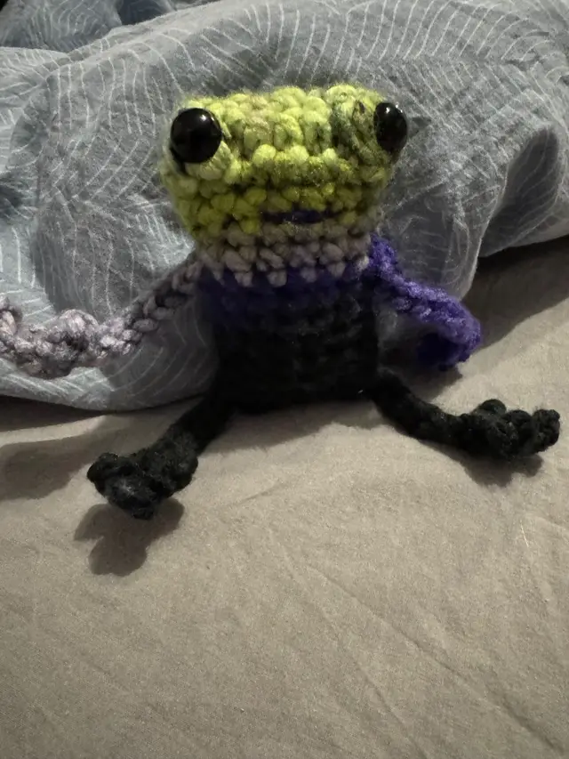 Long legged frog photo 2